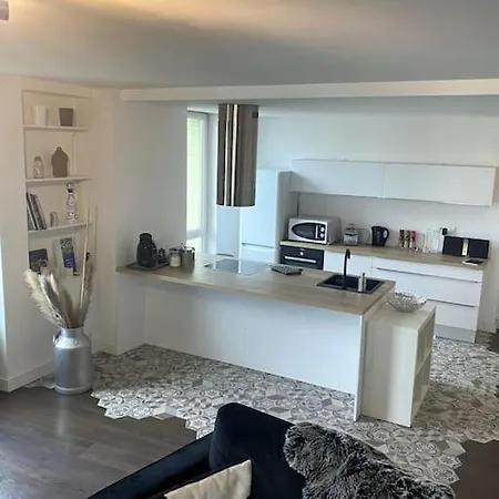 Appartement Superbe Lumineux Proche Tramway Clermont-Ferrand